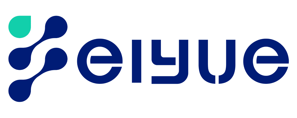 feiyue logo